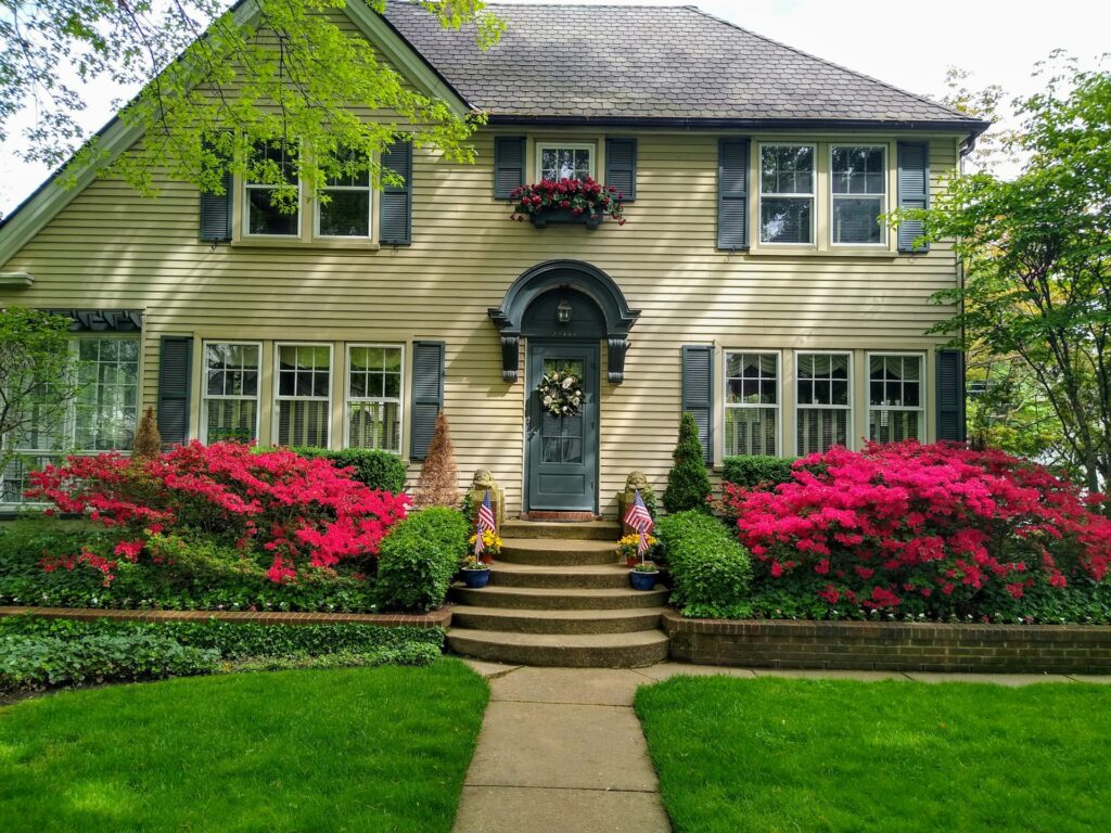 A pastel yellow house with green shutters. Bright red Azaleas are blooming in the front.
