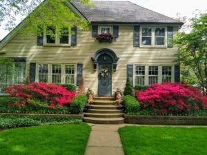 A pastel yellow house with green shutters. Bright red Azaleas are blooming in the front.
